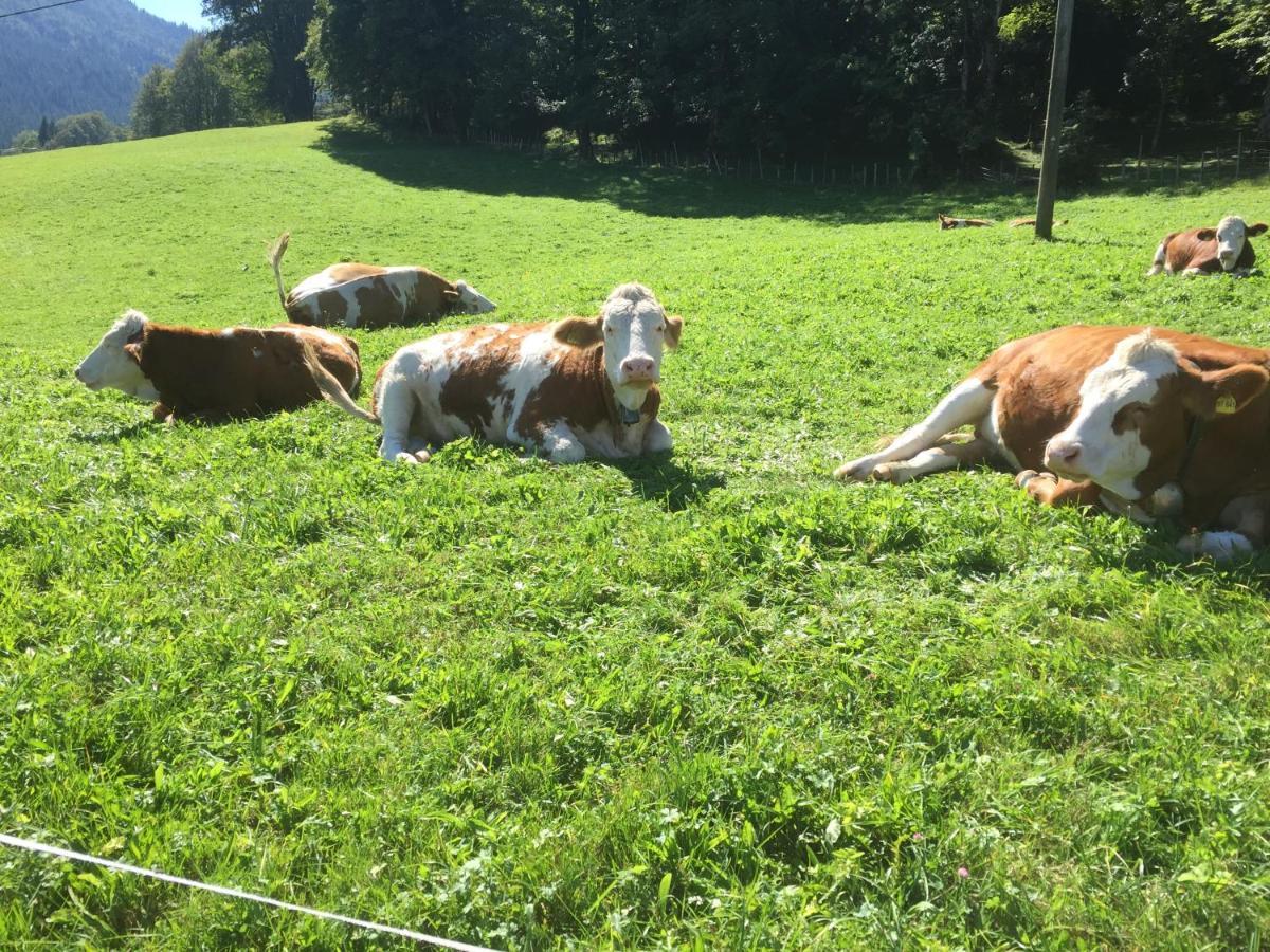 Ferienwohnung Roislerlehen Bischofswiesen Exteriér fotografie